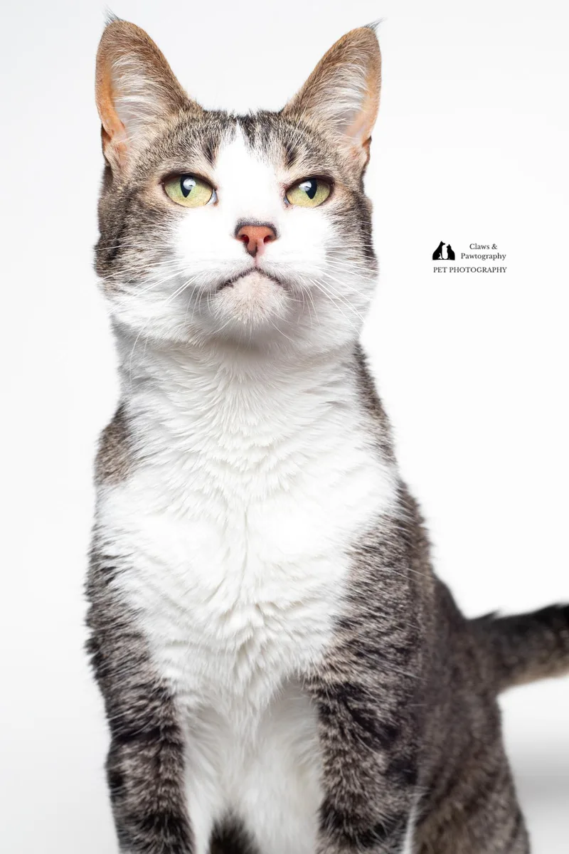 Elle @ Fat Cat thumbnail 6