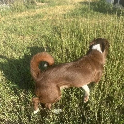 Tucker and Tessie thumbnail 4