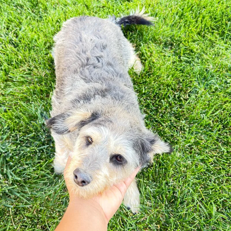 Max