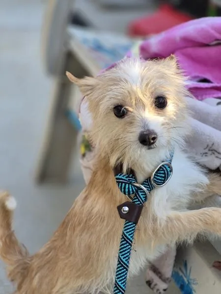 Pen  Quincy thumbnail 2