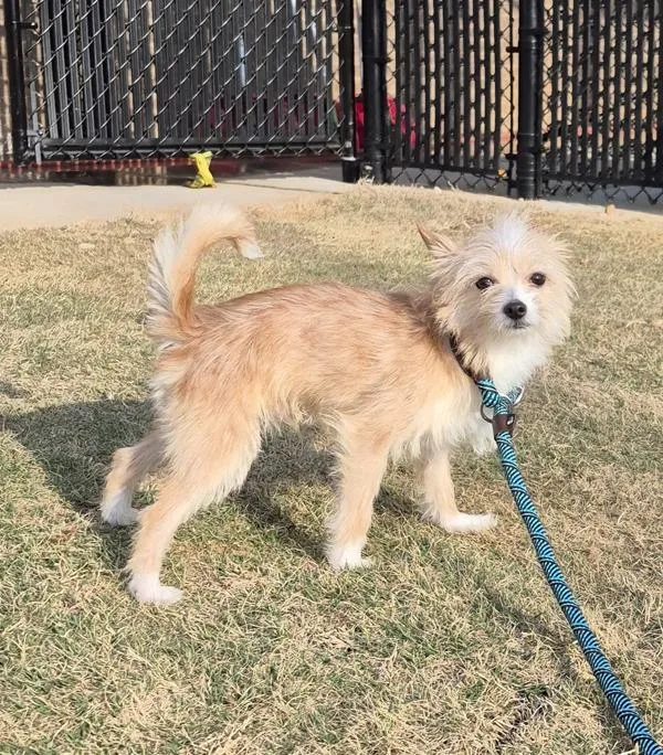 Pen  Quincy thumbnail 4