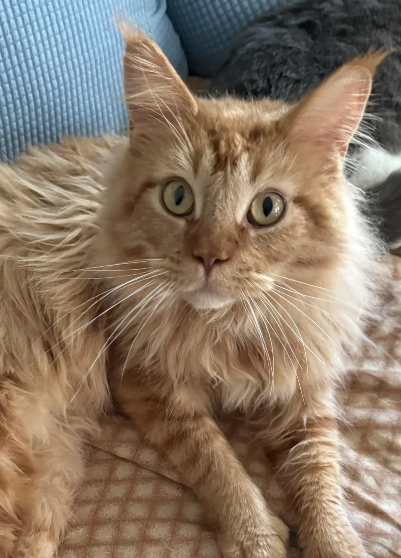 Willie & Lucky thumbnail 2