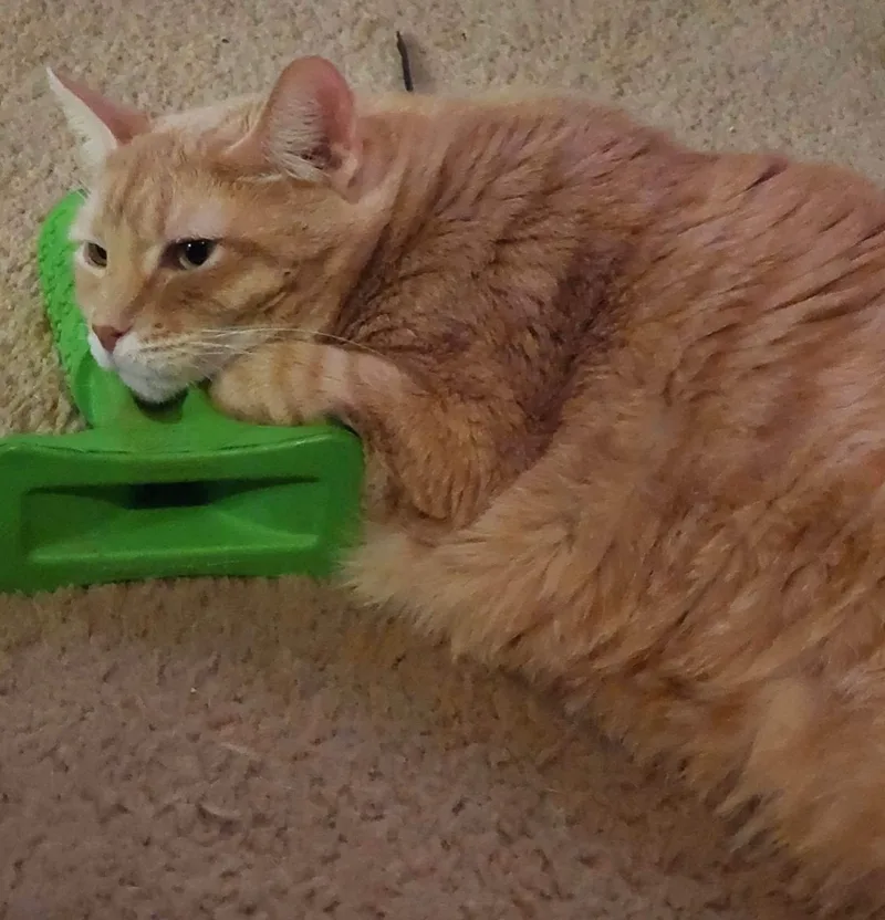 Winchester thumbnail 4