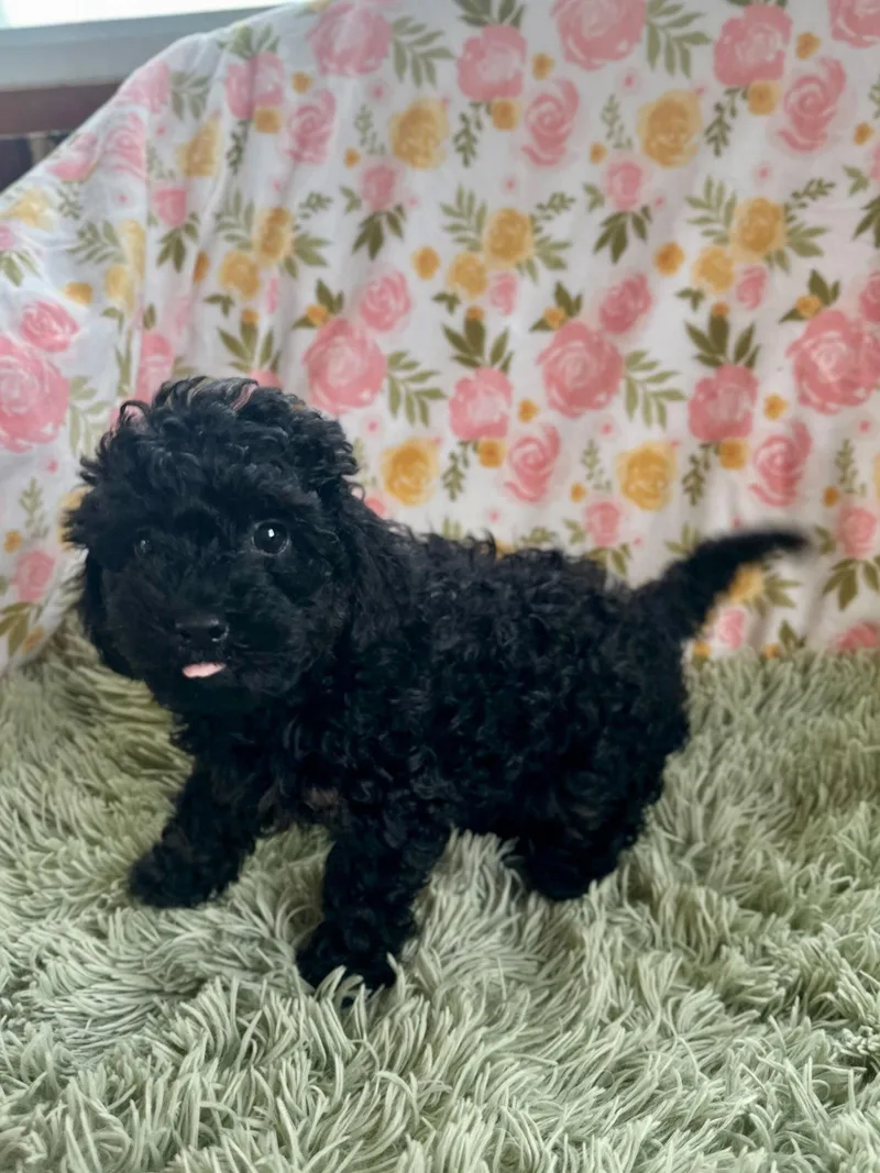 Morgan Feb   thumbnail 2