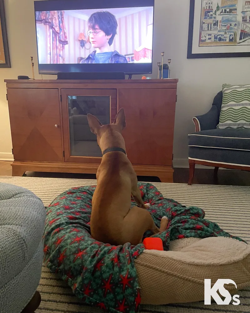 Ra thumbnail 4