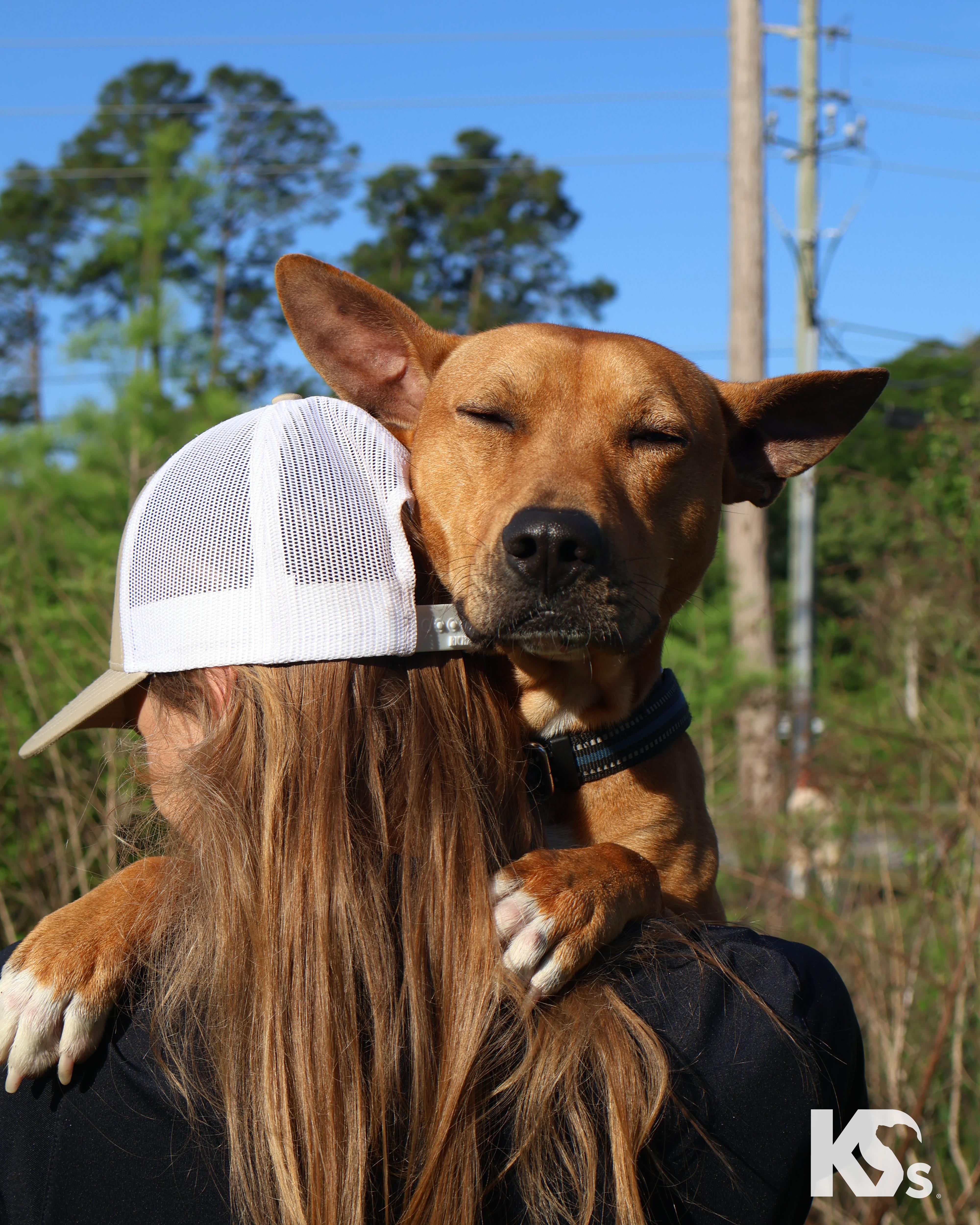 Ra thumbnail 5