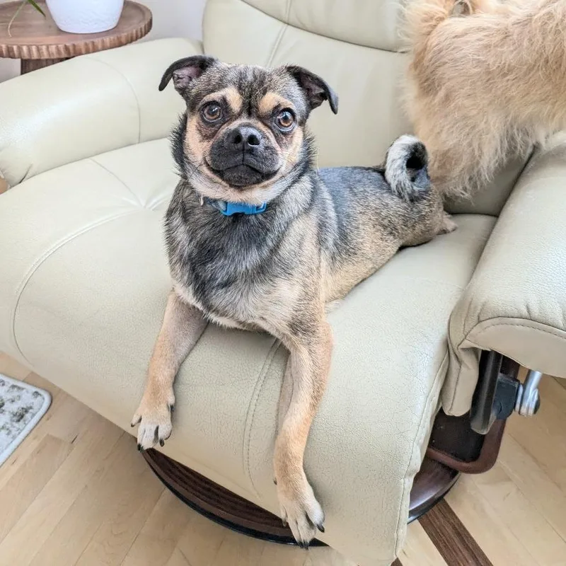 Denny Bonded To Mac thumbnail 2