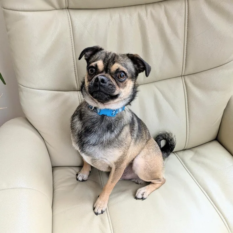 Denny Bonded To Mac thumbnail 3