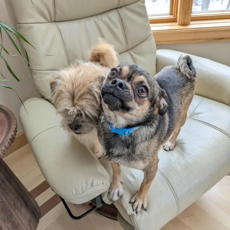 Denny Bonded To Mac thumbnail 4