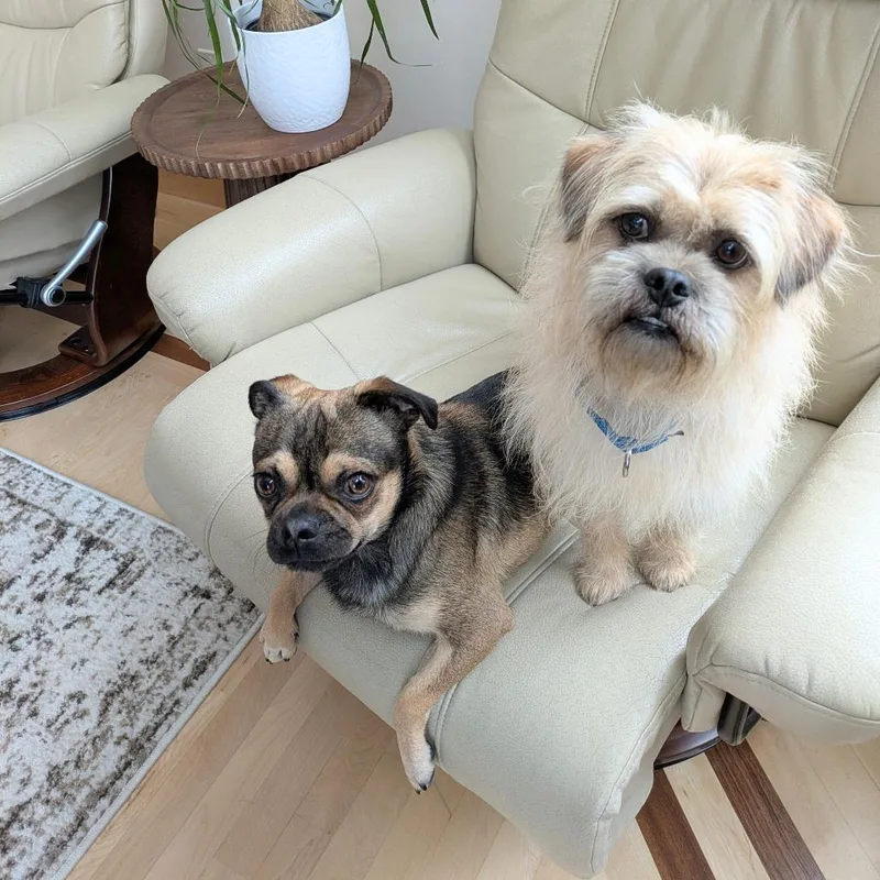 Denny Bonded To Mac thumbnail 5