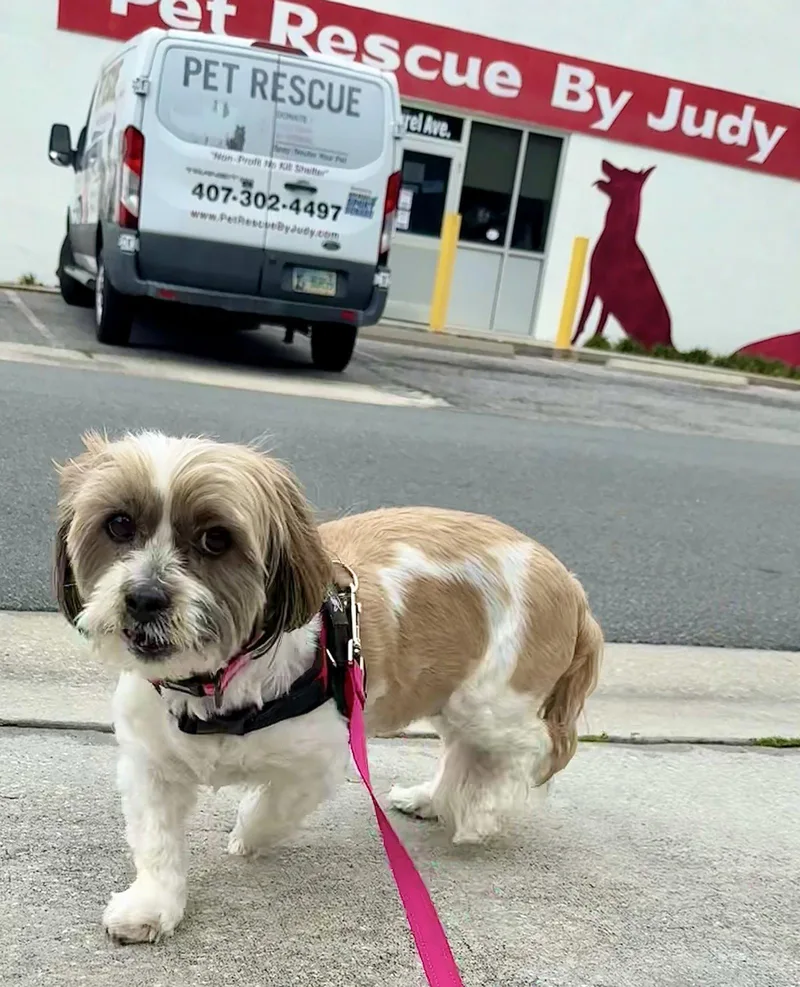 Maggie