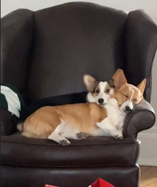 Azula & Juno thumbnail 2