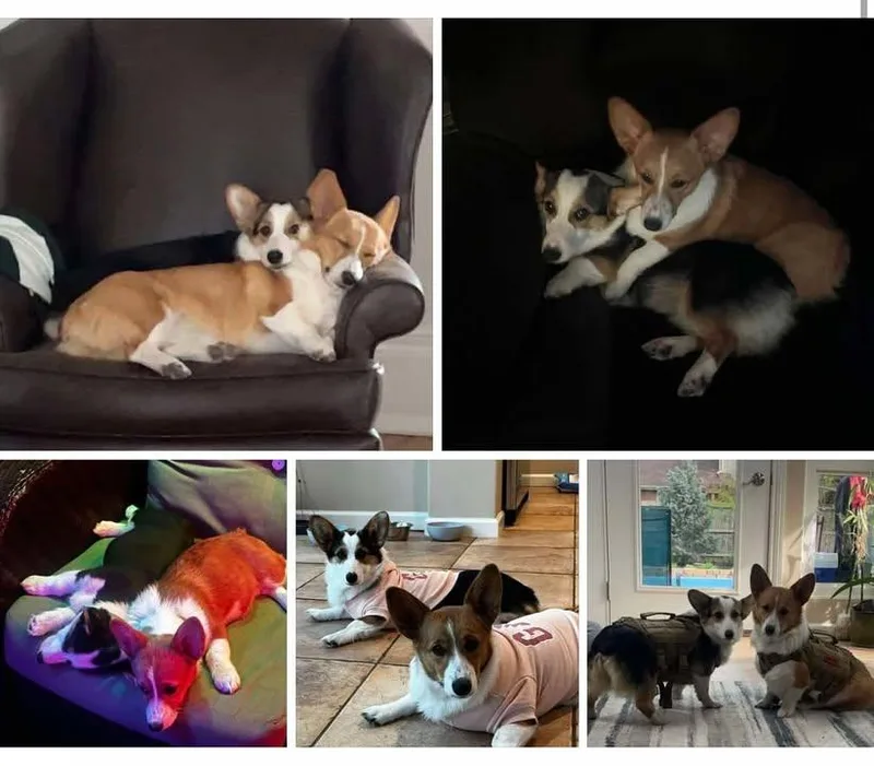 Azula & Juno thumbnail 3