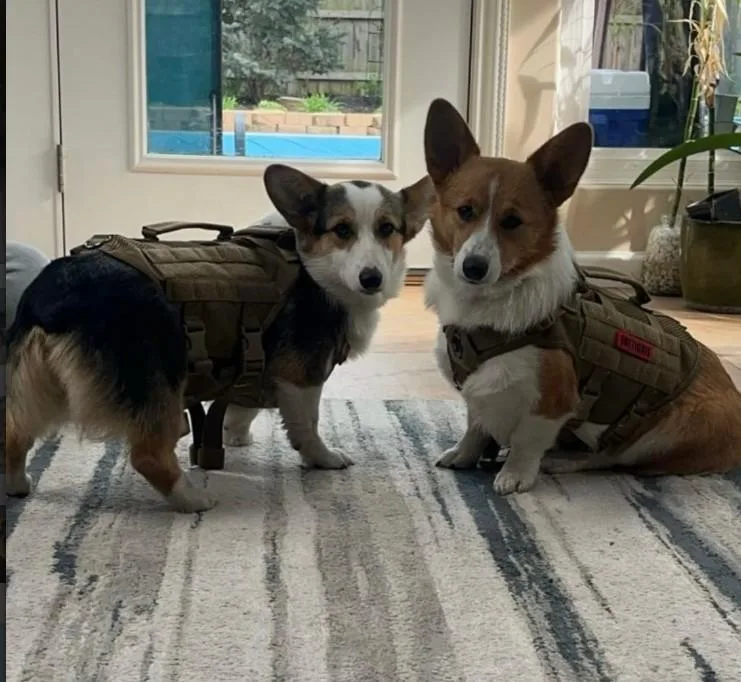 Azula & Juno thumbnail 4