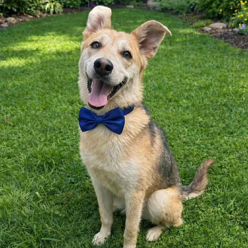 Lock I Gs thumbnail 4