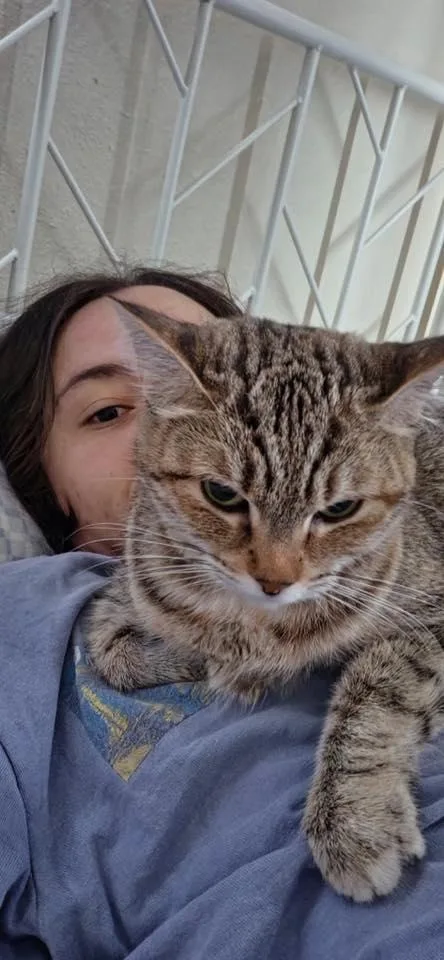 Jiji thumbnail 2