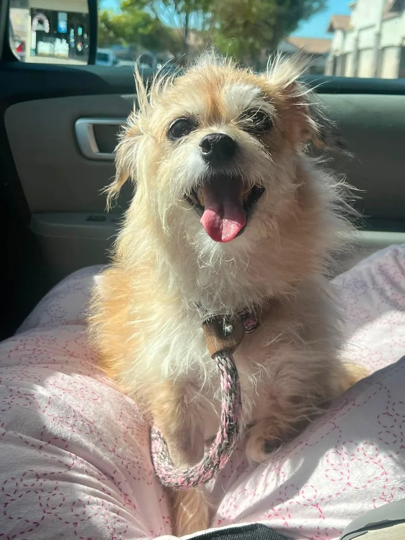 Peggy