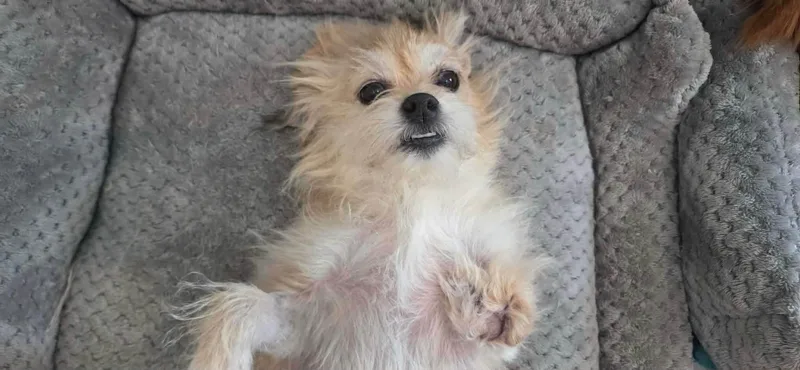 Peggy thumbnail 2