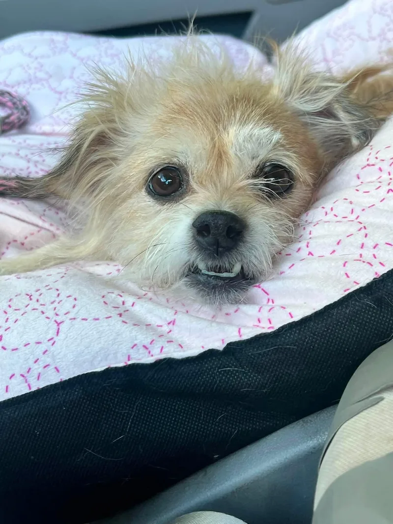 Peggy thumbnail 4