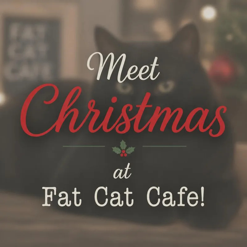 A baby medium-sized male Black Domestic Short Hair cat named Christmas at Fat Cat for adoption in Tallahassee, FL