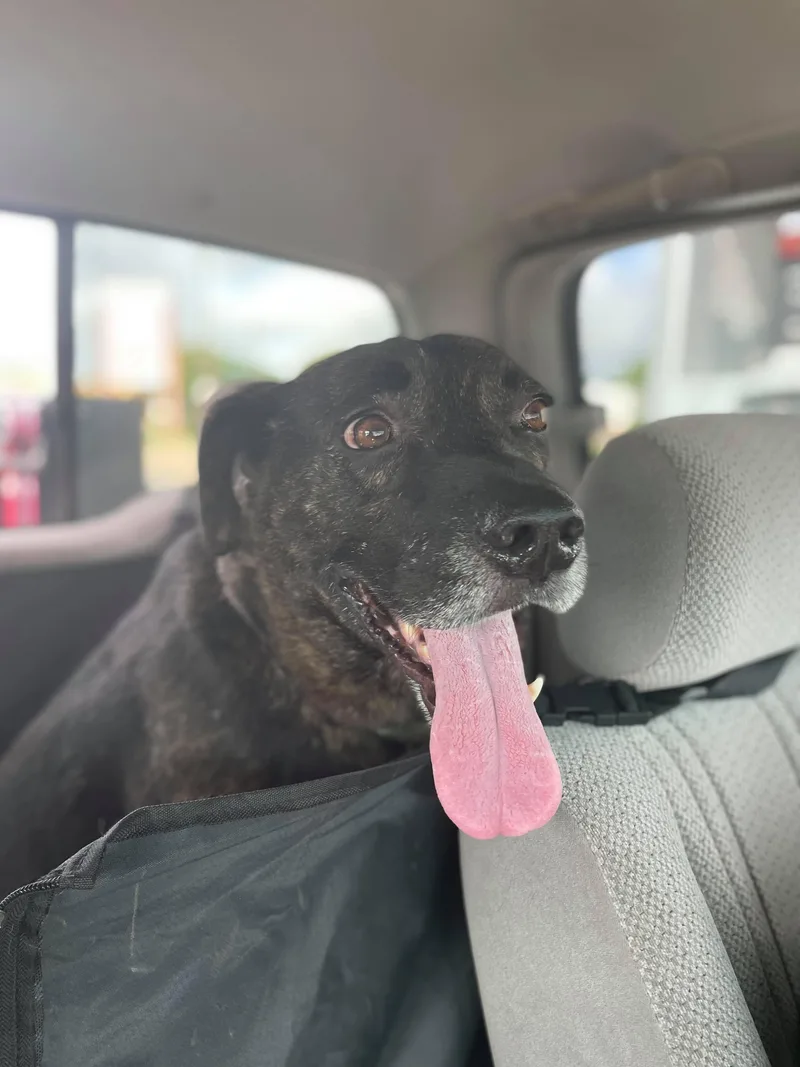 Maverick thumbnail 2