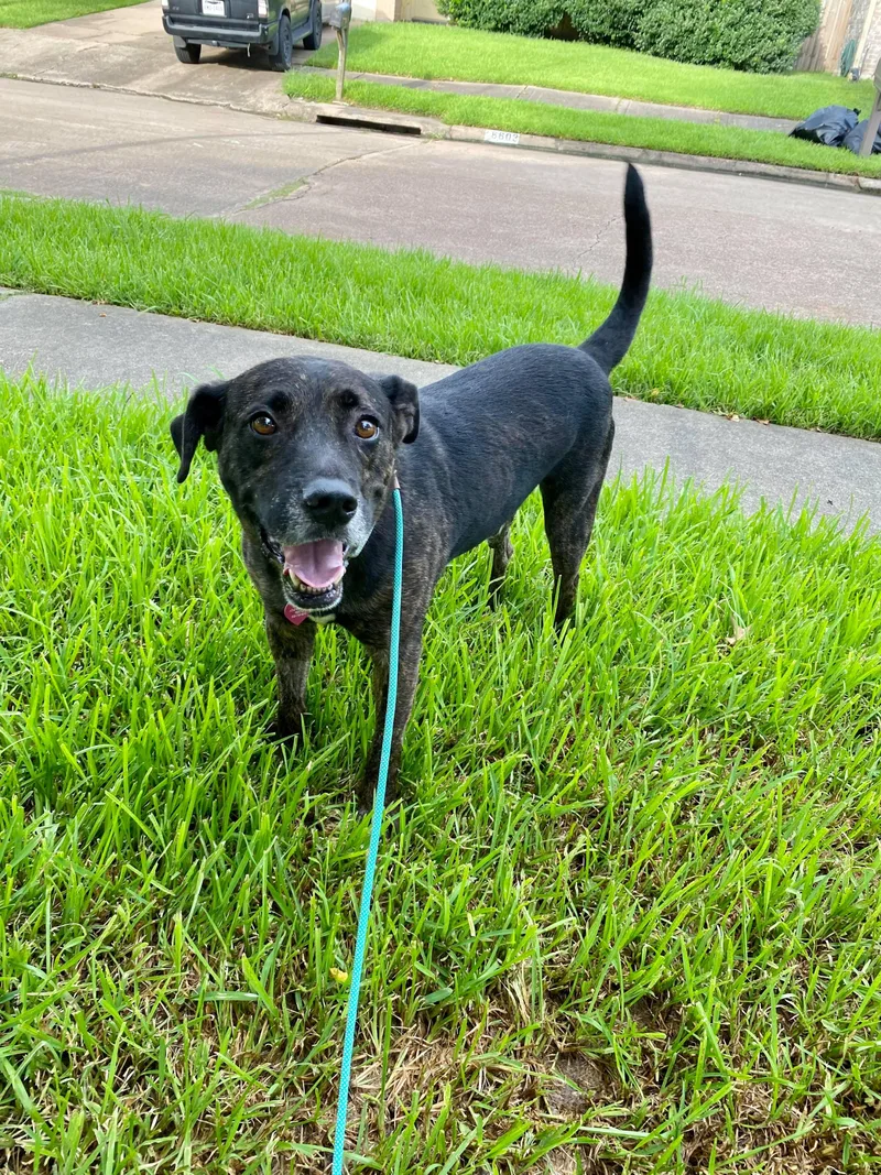 Maverick thumbnail 5