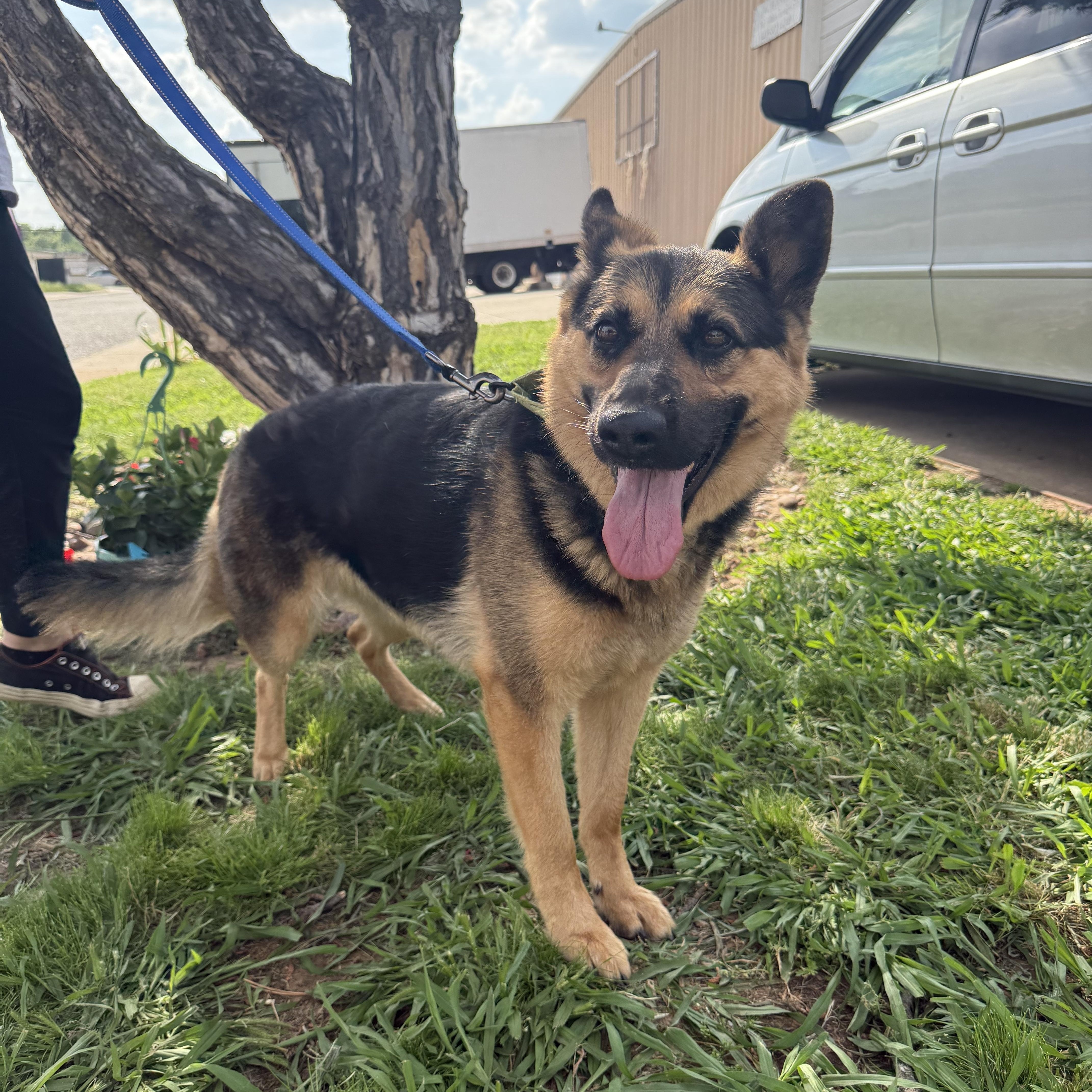 Gypsy Moon thumbnail 2