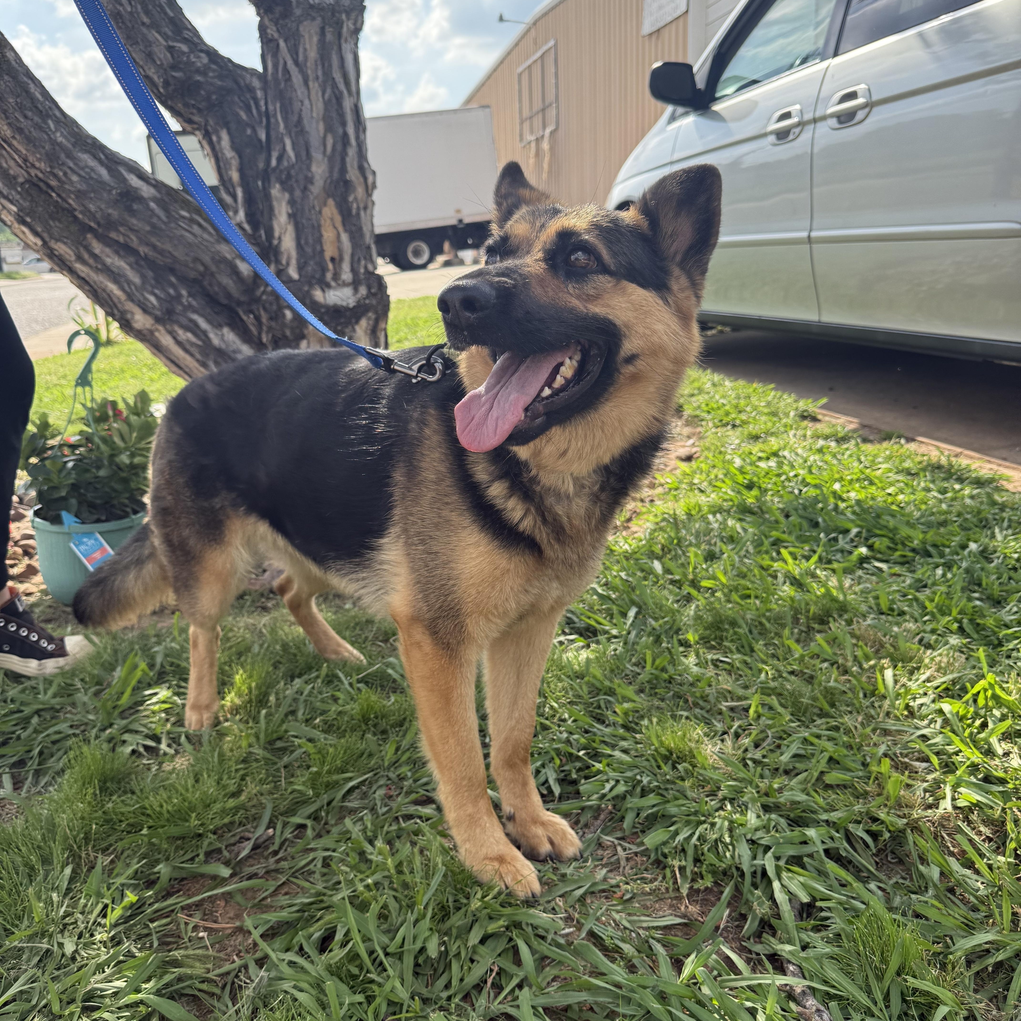 Gypsy Moon thumbnail 3