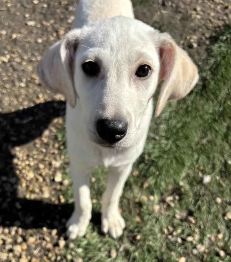 Karen Smith thumbnail 2