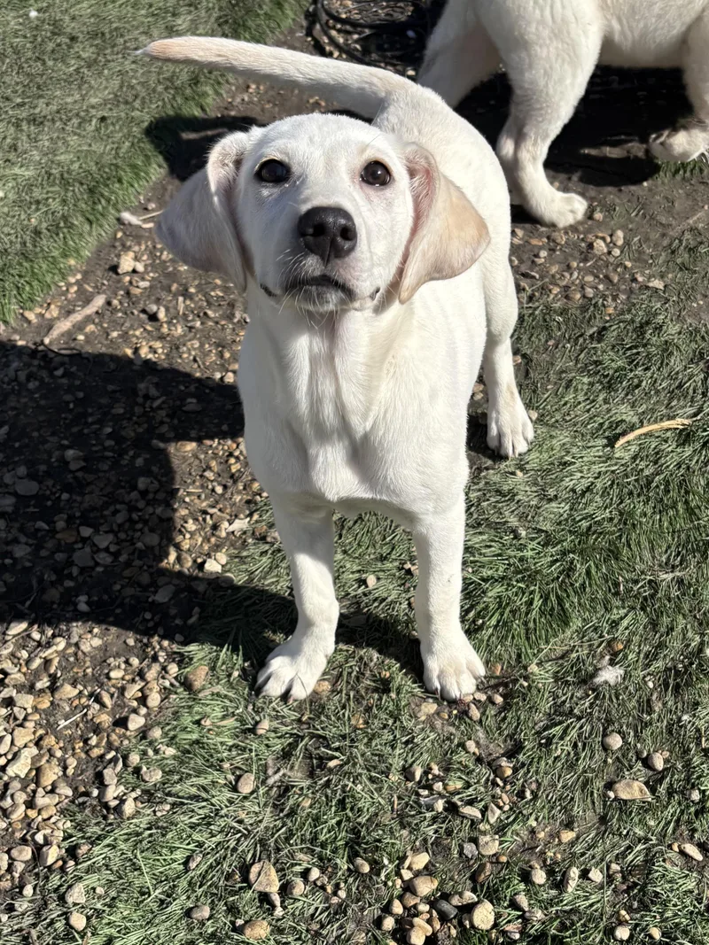 Karen Smith thumbnail 3