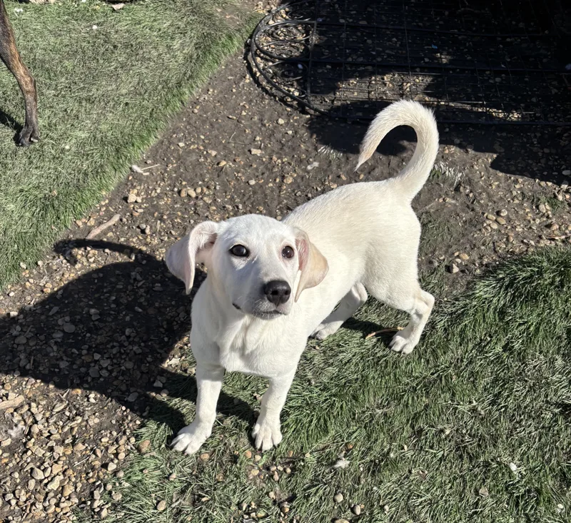 Karen Smith thumbnail 4