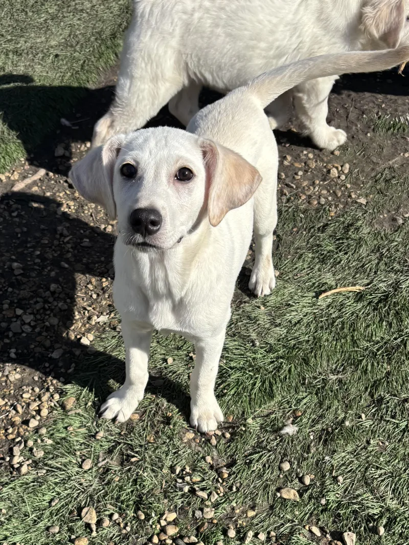 Karen Smith thumbnail 5