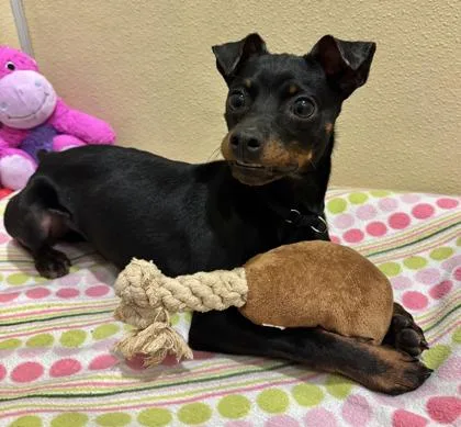 Tim Drake thumbnail 2