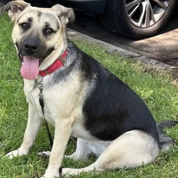 Star & Sunny thumbnail 2