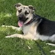 Star & Sunny thumbnail 3