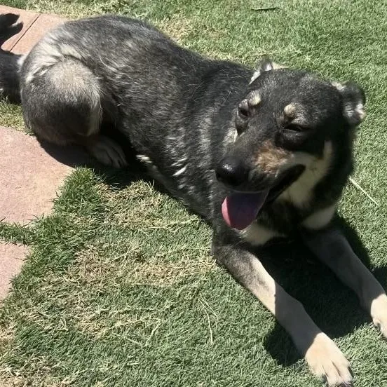 Star & Sunny thumbnail 4