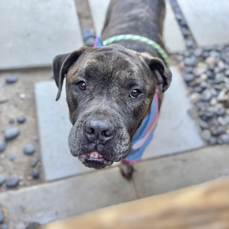 Olive Garden thumbnail 2