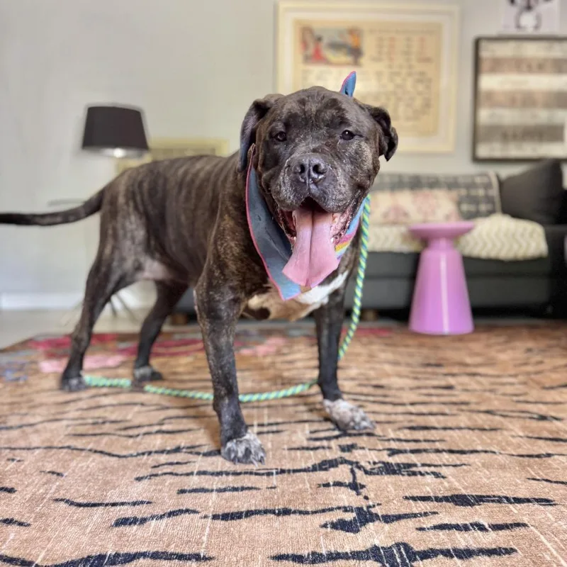 Olive Garden thumbnail 5