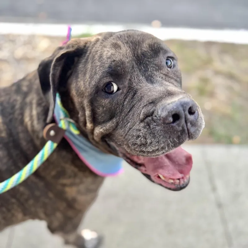 Olive Garden thumbnail 6