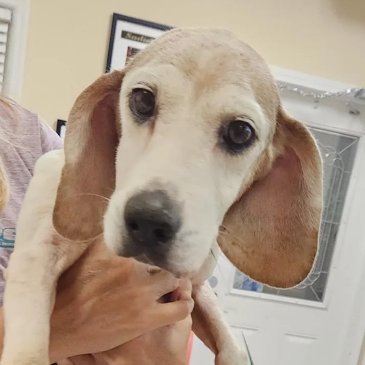 Billy Ray thumbnail 2