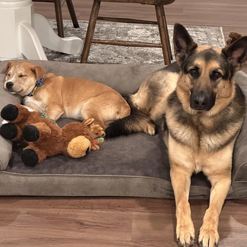 Scotch Spirits  Local thumbnail 4