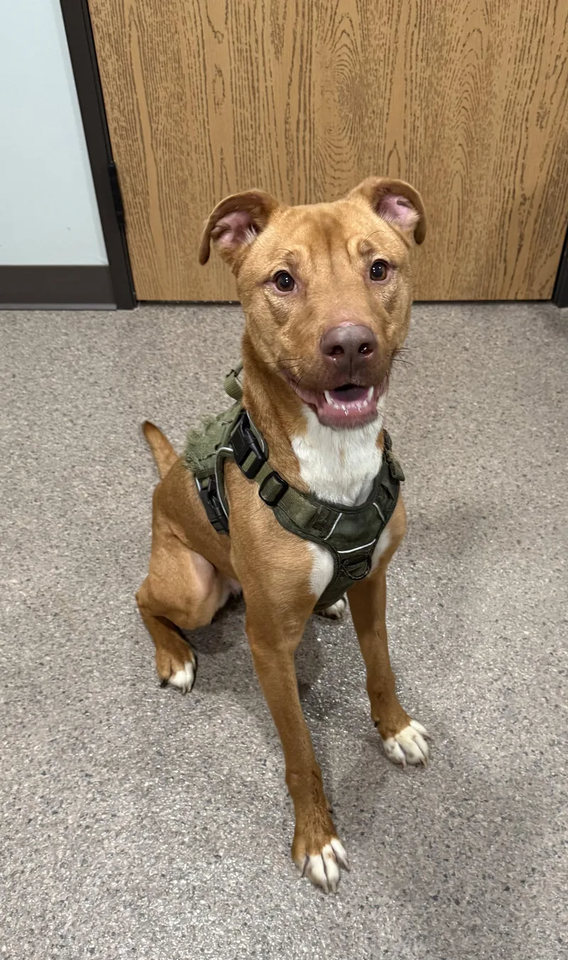 Mazy Currently Enrolled In thumbnail 2