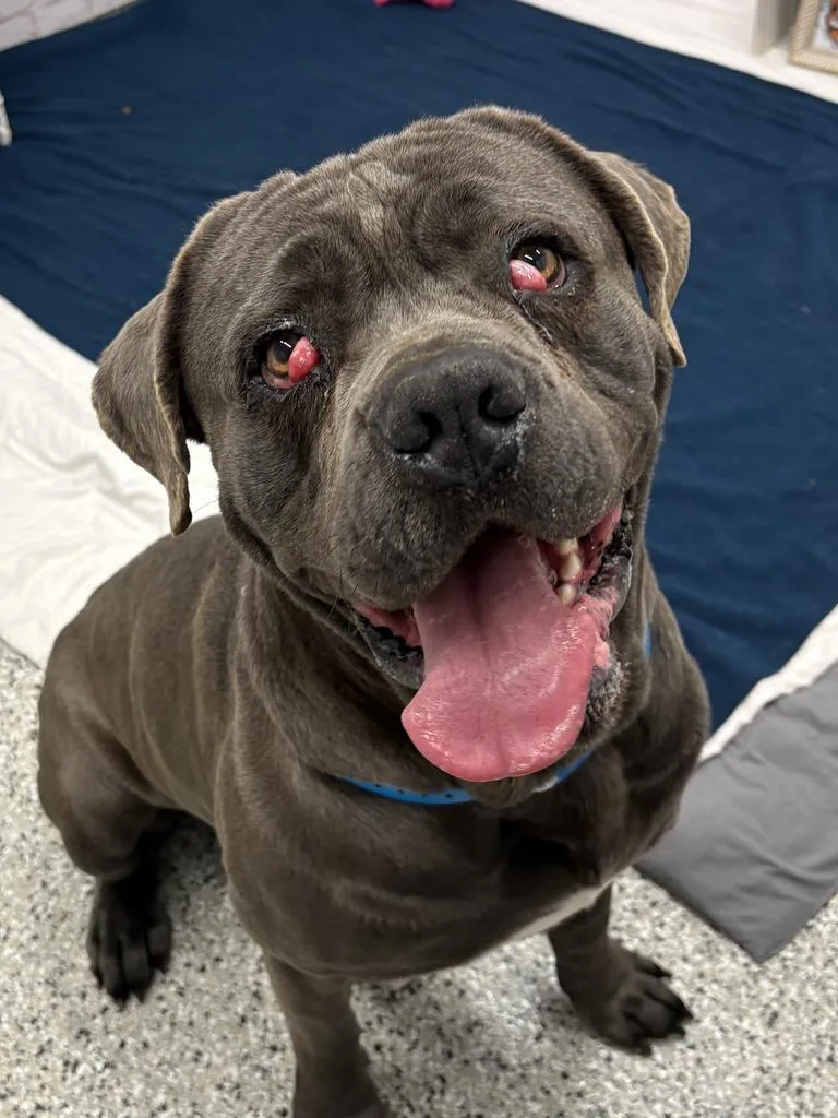 Base Culture thumbnail 2