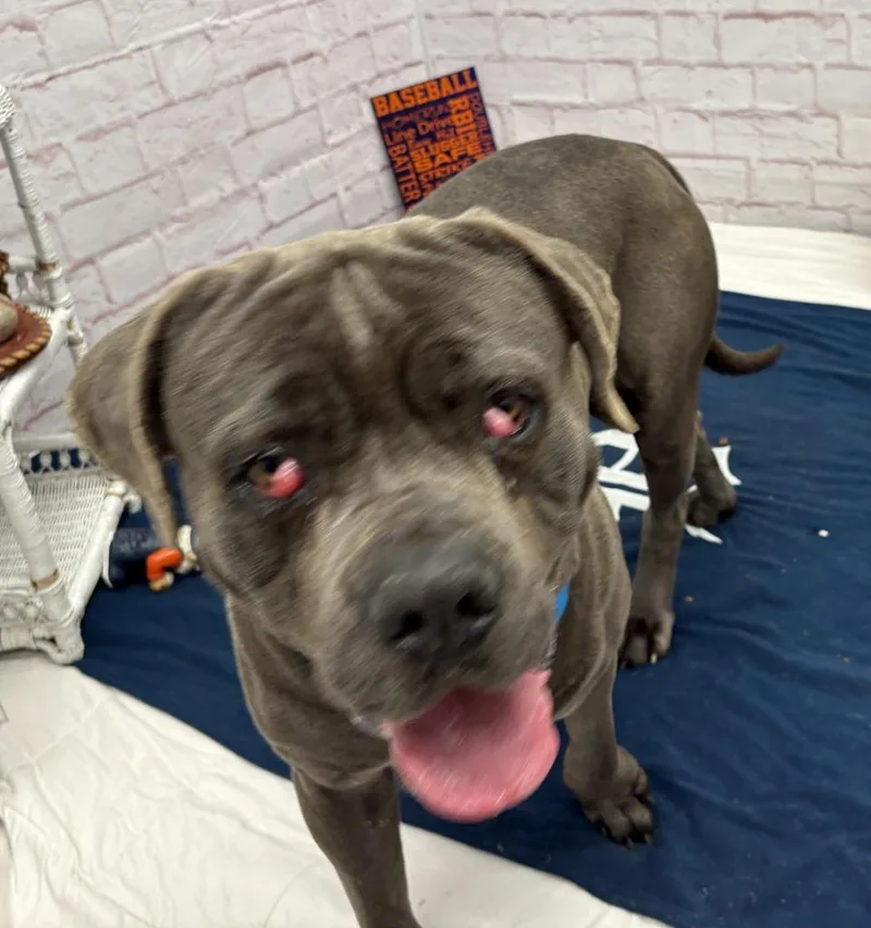 Base Culture thumbnail 5