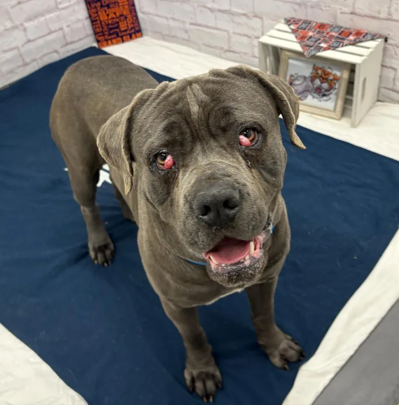 Base Culture thumbnail 6