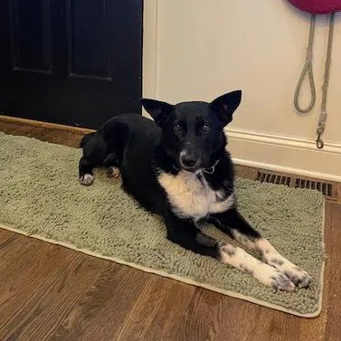 Magnolia Soxington thumbnail 2