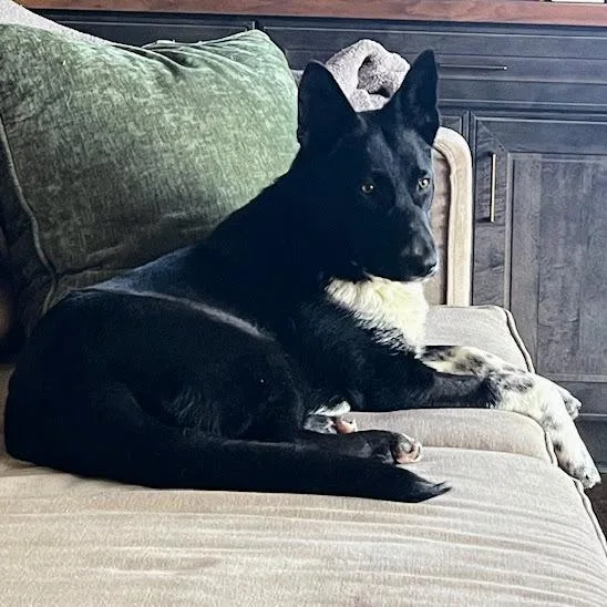 Magnolia Soxington thumbnail 5