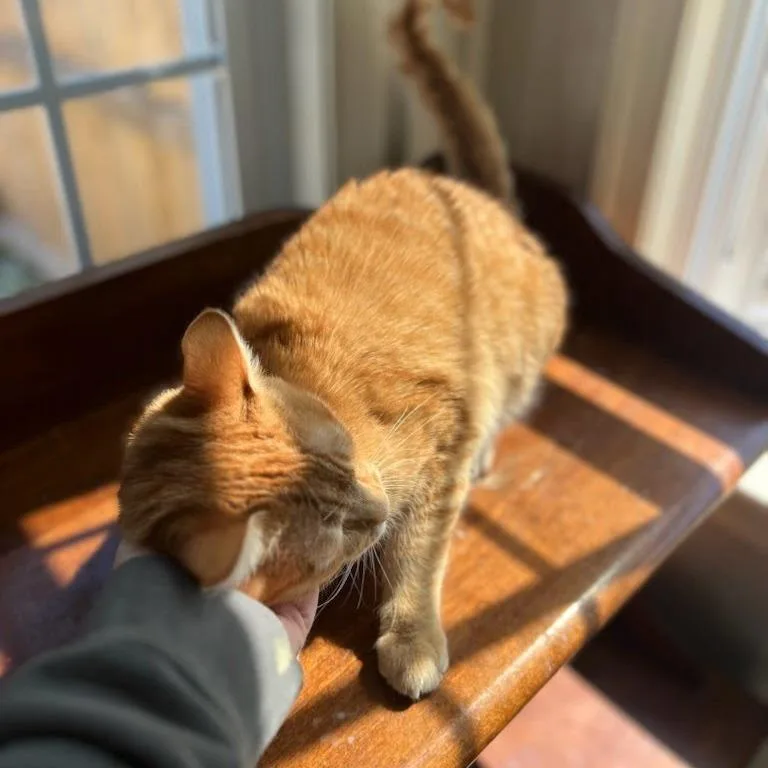 Whatshisname thumbnail 2