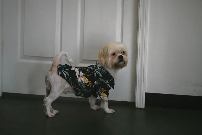 Hobbes thumbnail 2