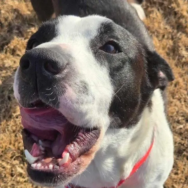 Collette thumbnail 2